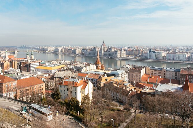 Buda Castle's Secrets with a Historian - Castle Hill with a historian: what this 2.5-hour walk really delivers