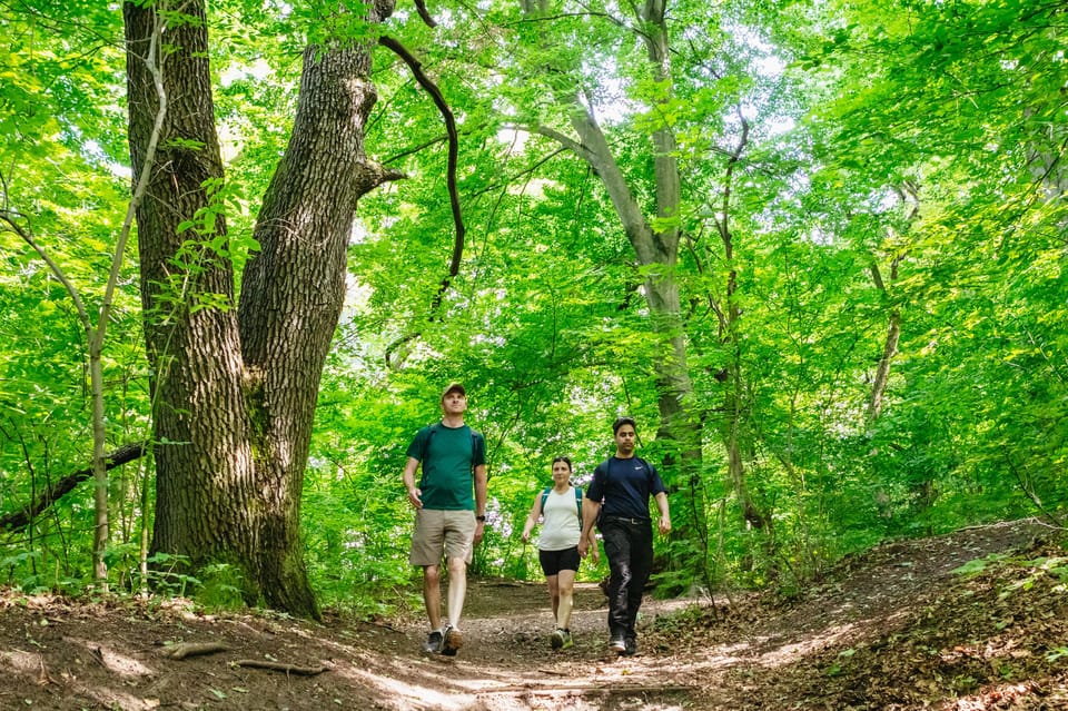 Budapest: Buda Hills Guided Hiking Tour with Optional Lunch - Quick reasons this hike earns its 5-star score