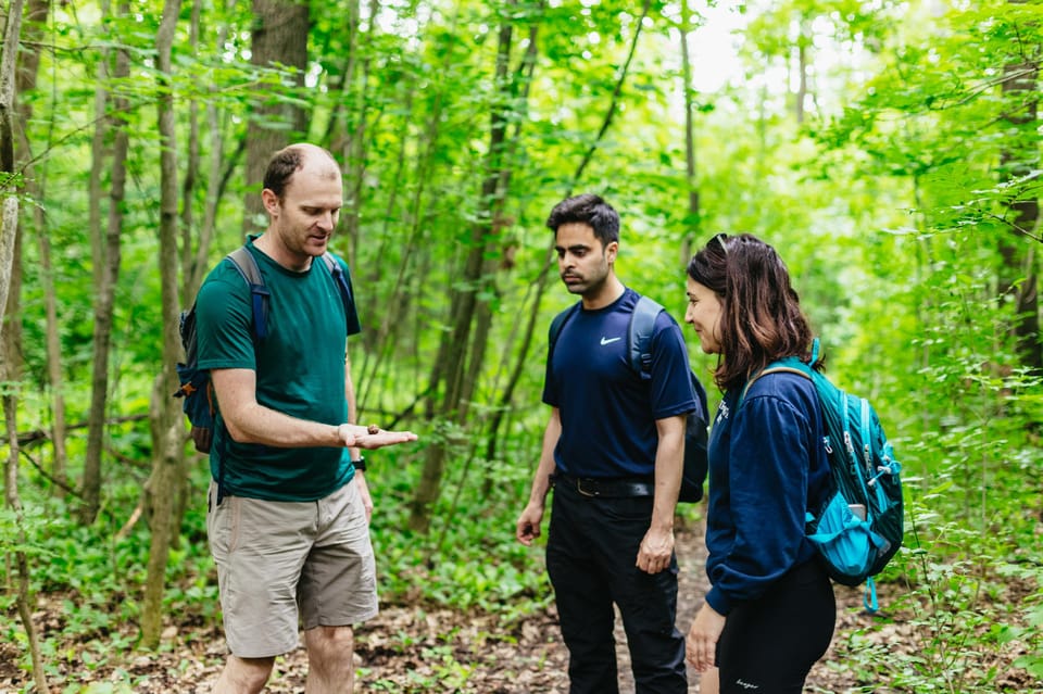 Budapest: Buda Hills Guided Hiking Tour with Optional Lunch - Normafa climb to Elizabeth Lookout Tower: the first real wow moment