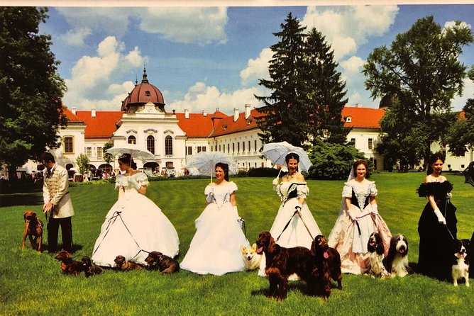 Budapest Gödöllő Palace Royal ‘Sisi’ Residence Half-Day Tour - Sisi’s World: How the Guide Makes Court Life Click