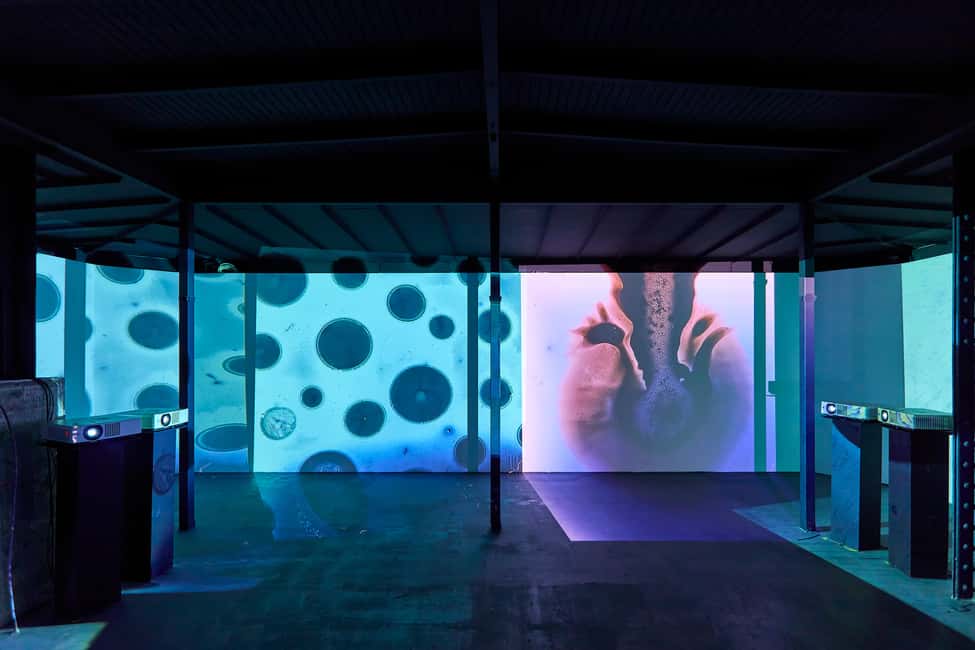 Budapest: Light Art Museum - Immersive New Media Experience - What You’re Not Getting: No Tour Guide, No Script