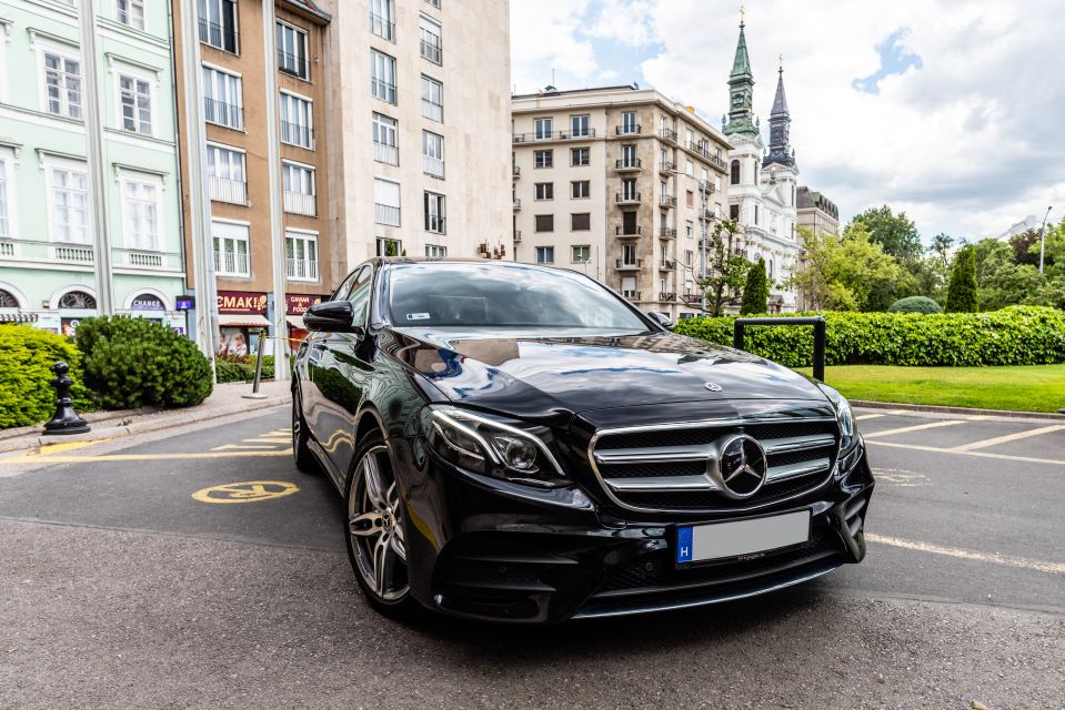Budapest: Private Luxury Sightseeing Tour - Andrássy Avenue to St. Stephen’s Basilica: opera elegance and a church interior moment