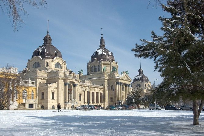 Budapest Széchenyi Spa with Danube Cruise and Optional Dinner - Value for Money: Is $155.77 a Good Deal?