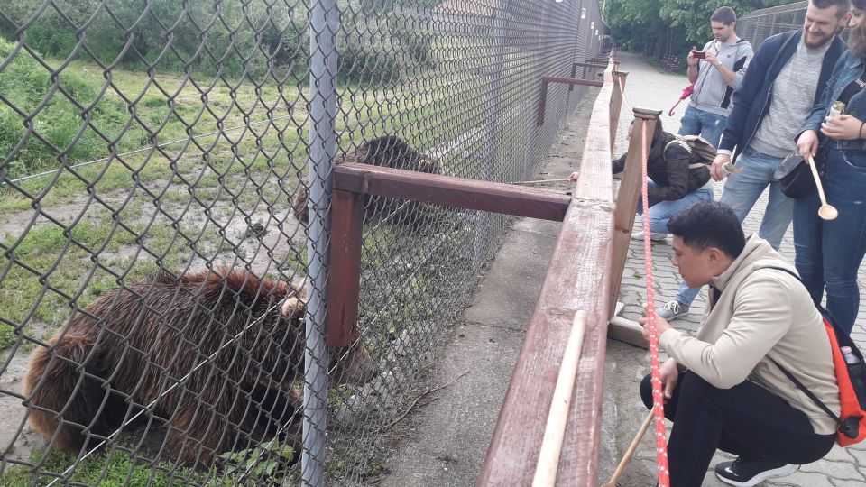 Budapest: Transport & Guided Tour of Bear and Wolf Sanctuary - The sanctuary tour: fenced viewing, real space, and a 2-hour plan