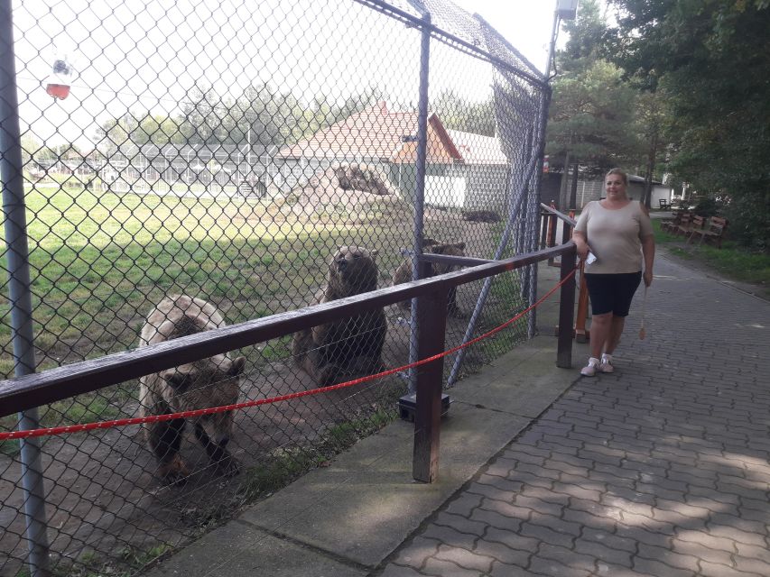 Budapest: Transport & Guided Tour of Bear and Wolf Sanctuary - Brown bears vs grizzlies: what the guide teaches you (and why it matters)