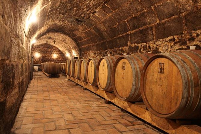 Countryside Half-day Gastro-Wine Tour from Budapest Meal & pickup - Key points before you go