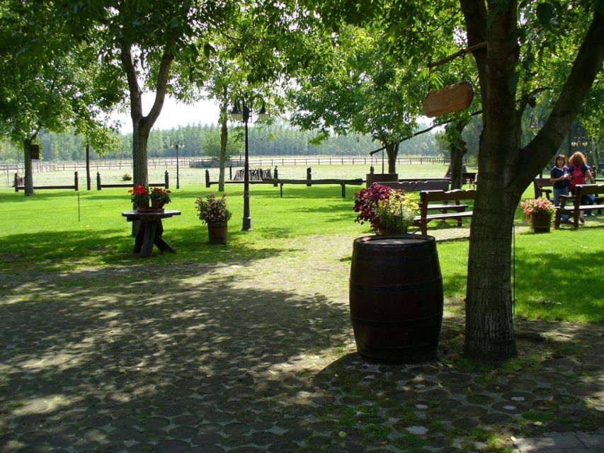 From Budapest: Full-Day Puszta Tour with Lunch and Show - The Horse Show Plus Carriage Ride: Fun With Real Skills