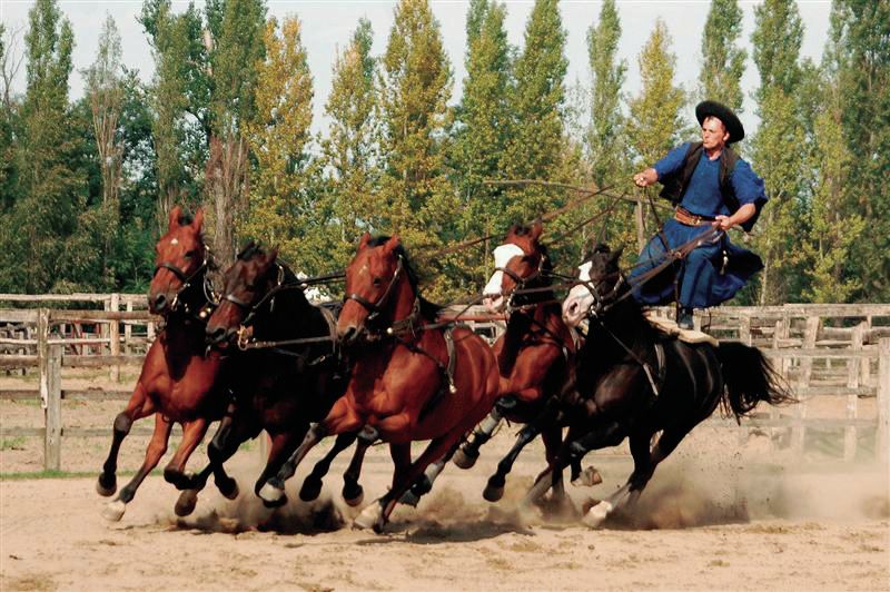 From Budapest: Full-Day Puszta Tour with Lunch and Show - Pálinka and the Lajosmizse Ranch: Meet the Puszta Way of Life
