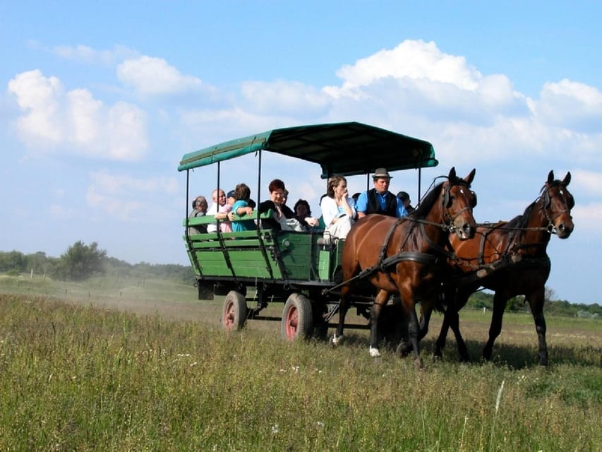 From Budapest: Puszta Horse Show and Countryside Visit - Lajosmizse Farm: Where the Horse Show Becomes the Main Event