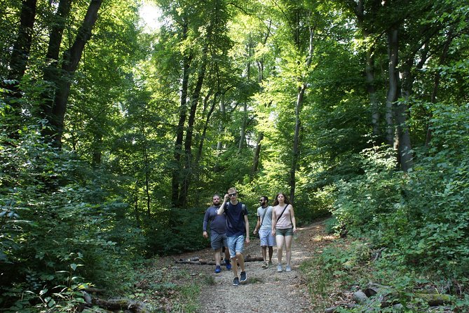 Hiking in Budapest - Fitness reality check: what the 4 hours actually feels like